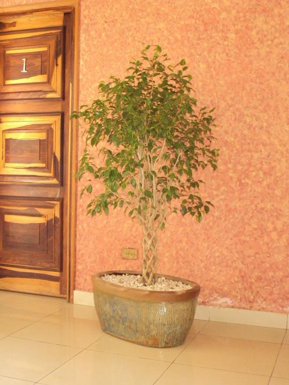 Hotel Aloha Managua Dış mekan fotoğraf